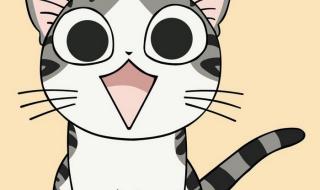 甜甜私房猫图片 甜甜私房猫图片