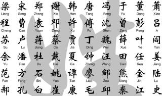 中国姓氏人口数排名 中国姓氏人口数排名