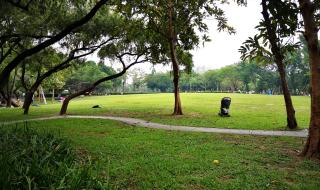 深圳荷花公园在哪里