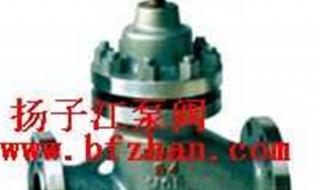 柱塞截止阀 柱塞截止阀