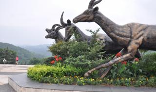 重庆野生动物园