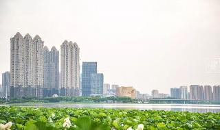 武汉购房政策 武汉购房政策