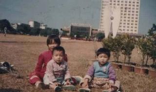 北部湾三级运作合作机制是什么层 广西北部湾资本运作