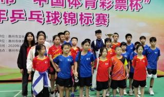 乒乓球锦标赛几年一次 乒乓球锦标赛几年一次